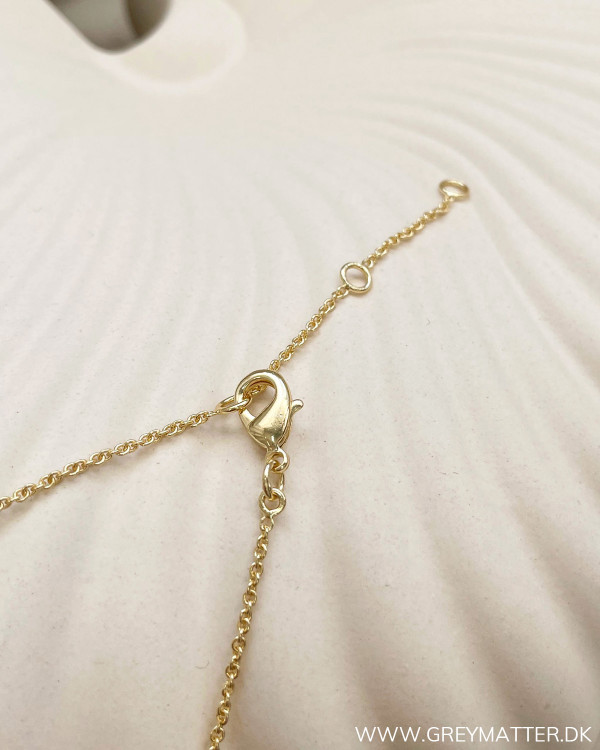 Big Golden Plated Necklace